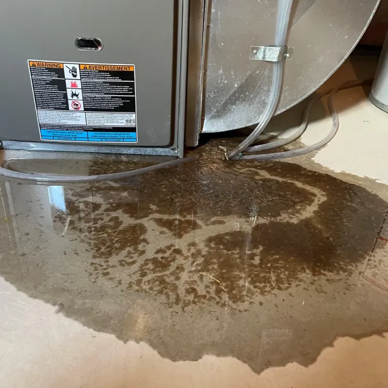 Appliance Leak Cleanup in Atlantic Beach, NC